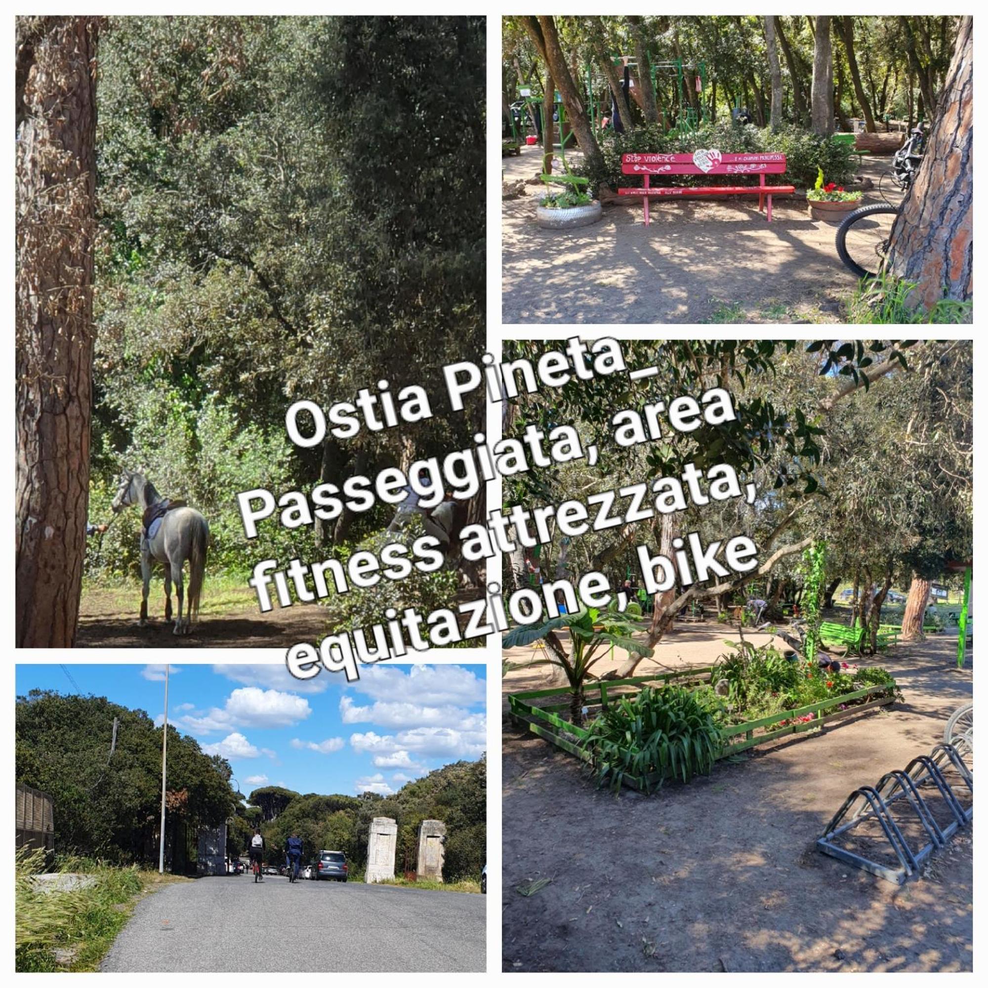 شقة Casa Diana Ostia المظهر الخارجي الصورة